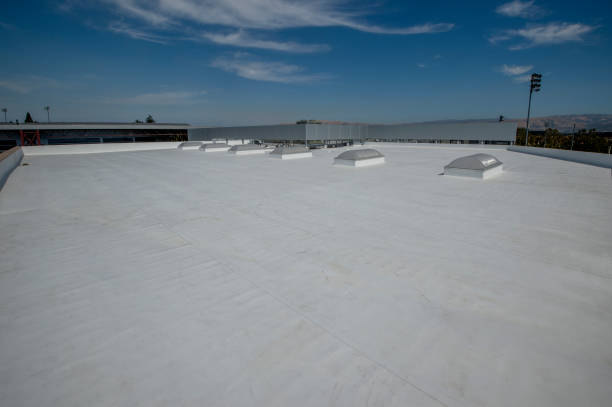 Best Roof Ventilation Installation  in Lake Isabella, MI