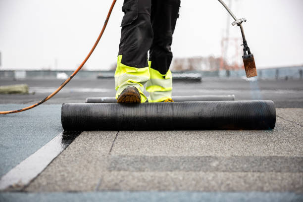 Best Metal Roofing Installation  in Lake Isabella, MI