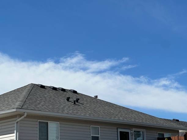 Best Chimney Flashing Repair  in Lake Isabella, MI